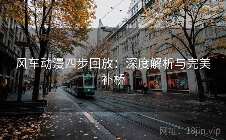 风车动漫四步回放：深度解析与完美补桥